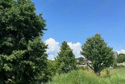 500 mp intravilan Turturesti - 2