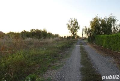 Teren de 1707 mp, în Tărtășești - 1
