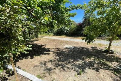 Casă cu 10 camere cu Teren 300 Mp în Nord - 2