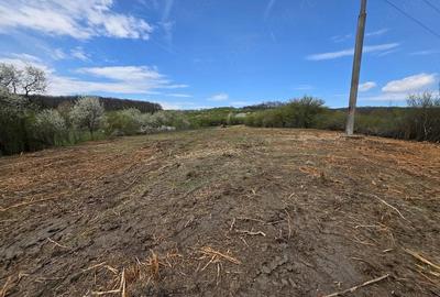 Teren de 6704 mp, în Bârsău - 19