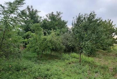 Casă cu 2 camere în Iratoșu - 2