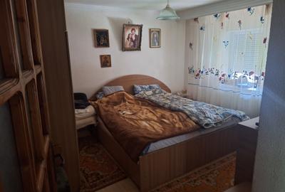 Palazu Mare-Elvila casa 5 camere,anexe,632 mp teren - 9