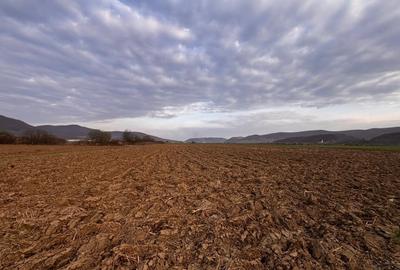 Teren agricol extravilan de 2500 mp, în Sud - 3