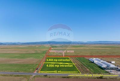 Teren 7,500mp Tarlungeni / Strada Zizinului - 3