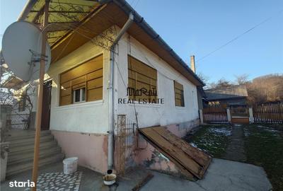 Casă cu 4 camere cu Teren 4977 Mp în Ribița - 18