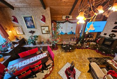 VILĂ SUPERBĂ INDEPENDENTĂ P+1E+M MILITARI CHIAJNA SALCÂMILOR, 260mpu, MOBILATĂ, - 16