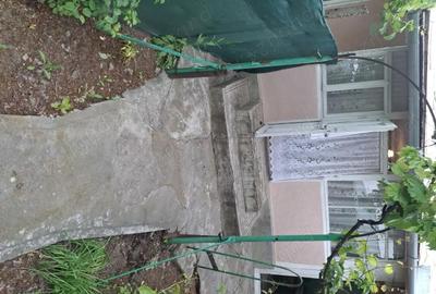 Casă cu 3 camere în Corni - 1