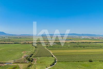 Teren pretabil constructie rezidentiala – Sanpetru - 14