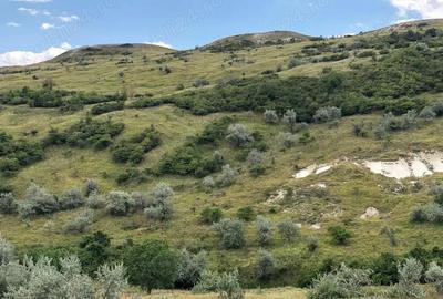 Vanzare 50 Ha pasune, judetul Prahova - 14