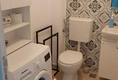Apartament cu 2 camere decomandat, mobilat în Snagov - 4