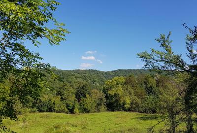 Spațiu comercial, în Provița de Jos - 3