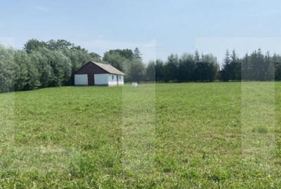 Teren intravilan 3.000 mp cu front stradal 30 m Sat. Moa - 7