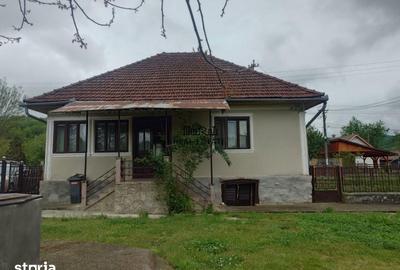 Casă cu 4 camere cu Teren 2651 Mp în Baia de Criș - 14