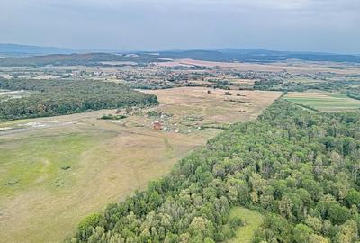 Teren Extravilan - 14