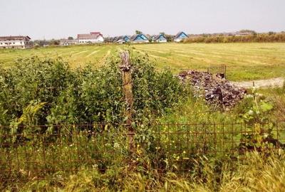 Teren de vanzare Murighiol - Uzlina | 5000 mp - 2