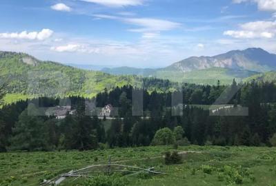 Teren de 10000 mp, în Central - 1