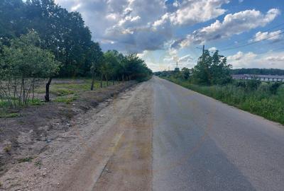 Teren intravilan 1843 mp - Cerbu/Albota/Arges - cu proiect d - 2