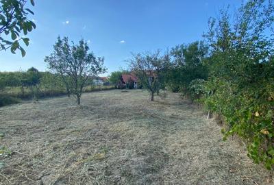 Casă individuală cu 2 camere cu Teren 676 Mp în Sâmbăta - 12