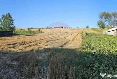 Teren de 7500 mp, în Moara - 12