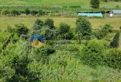 Teren intravilan com. Alexandru cel Bun- Viisoara Teren intravilan com. Alexandru cel Bun- Viisoara - 4