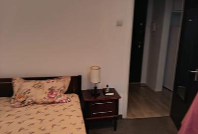 Inchiriere apartament 2 camere Pantelimon / Morarilor / Delfinului - 5