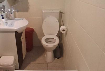 Casă cu 3 camere în Șega - 6