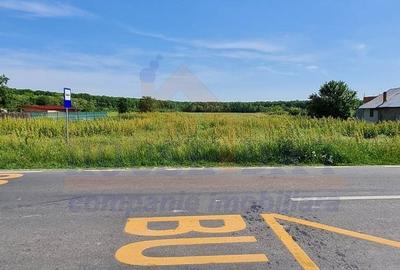 Vanzare teren intravilan Ciolpani, 1500 mp, toate utilitatile - 5