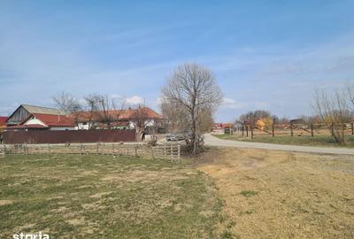 Teren de 1000 mp, în Prejmer
