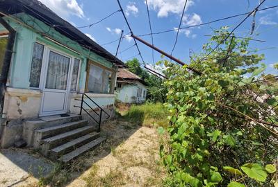 Ramnicu Valcea, Poenari Ramnicu Valcea, Poenari - 7