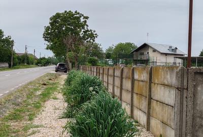 Casă + teren 4200 mp, vie, curent, fosa, anexă – Crevedia Mare, Giurgiu - 9
