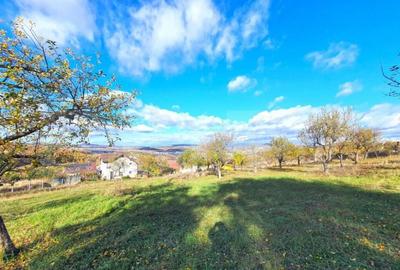 Teren intravilan 38 ari, cartierul Raal - 2