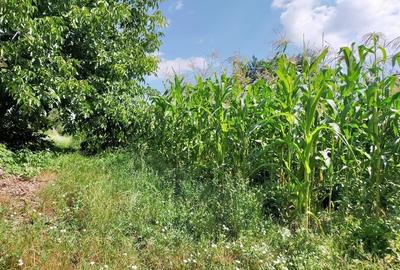 TEREN +CASA DE VANZARE IN PARGARESTI/BACAU - 3