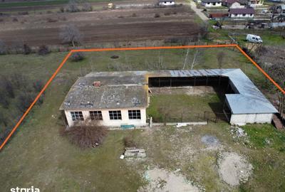 Teren de 3500 mp, în Vadu Pașii - 5