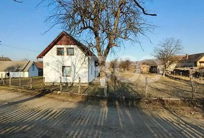 Casă cu 3 camere cu Teren 5039 Mp în Pianu - 10