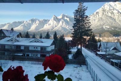 Apartament superb cu vedere la mun?i! - 5