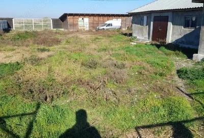 Casă cu 8 camere cu Teren 180000 Mp în Pietroiu - 9