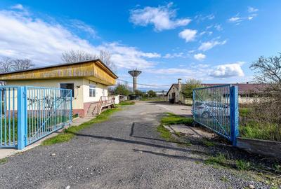 Hala industrială cu teren 10.495 mp – potențial supermarket, Lipova - 3