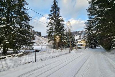 Casa de Vacanta in Bucovina! Munte - Rarau! De ! 0727817187 - 2