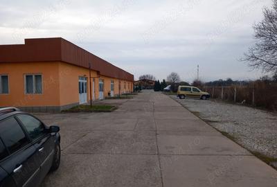 Spațiu comercial, de 4,800 mp, în Sântuhalm - 9