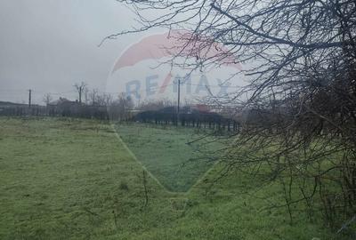 Teren agricol intravilan de 2205 mp, în Cocora - 10