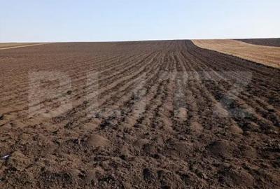 Teren în Central - 2