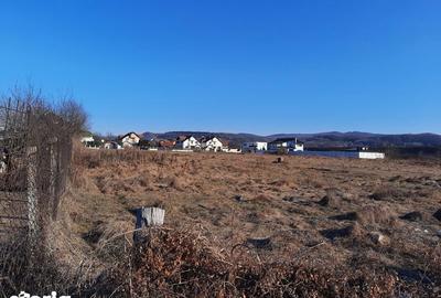 Teren de 2988 mp, în Ostroveni - 1