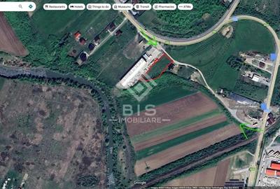 Teren de 2500 mp, în Viișoara - 3