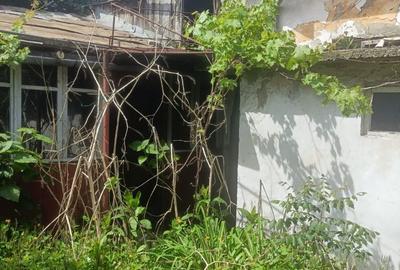 Casă cu 3 camere cu Teren 306 Mp în Calea București - 3