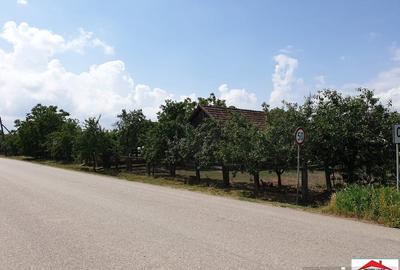 Casă cu 4 camere cu Teren 2363 Mp în Căuaș - 5