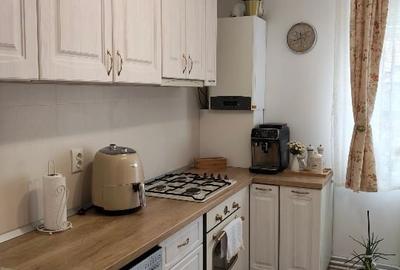 Apartament cu 2 camere decomandat, mobilat în Terezian - 4