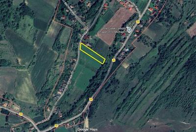 Teren de 1900 mp, în Țaga - 1