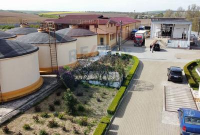 Crama din Buciumeni Afacere la cheie - 23