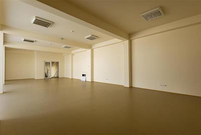 Spatiu comercial nou, acces facil, componenta si dotari apreciabile, Calea Bucur - 33