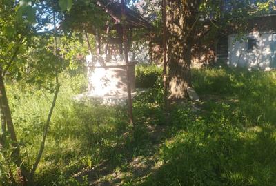 Casă cu 2 camere în Buciumi - 1